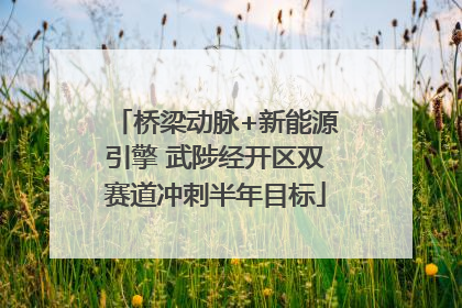桥梁动脉+新能源引擎 武陟经开区双赛道冲刺半年目标