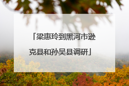 梁惠玲到黑河市逊克县和孙吴县调研