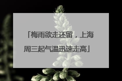 梅雨欲走还留，上海周三起气温迅速走高