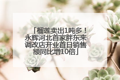榴莲卖出1吨多！永辉河北首家胖东来调改店开业首日销售额同比增10倍