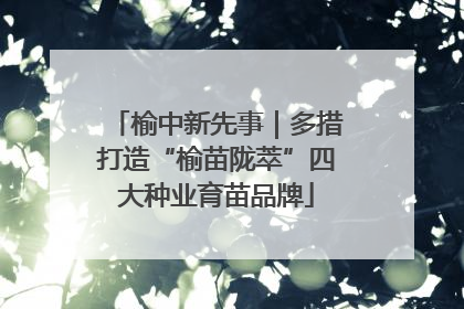 榆中新先事｜多措打造“榆苗陇萃”四大种业育苗品牌