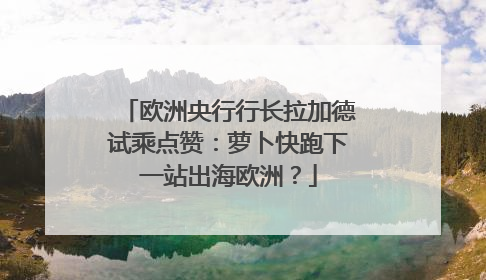 欧洲央行行长拉加德试乘点赞：萝卜快跑下一站出海欧洲？
