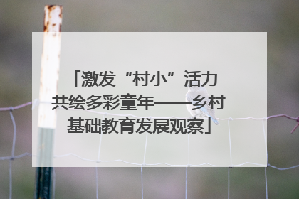 激发“村小”活力 共绘多彩童年——乡村基础教育发展观察