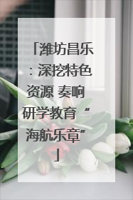 潍坊昌乐：深挖特色资源 奏响研学教育“海航乐章”