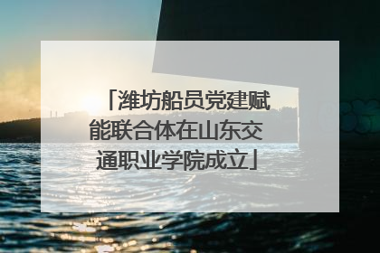 潍坊船员党建赋能联合体在山东交通职业学院成立
