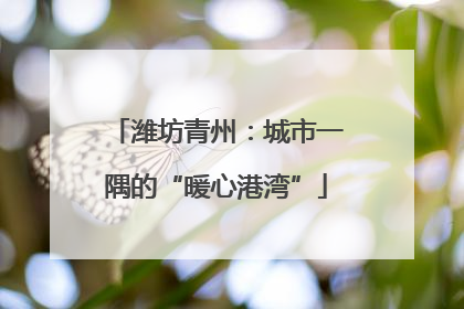 潍坊青州：城市一隅的“暖心港湾”