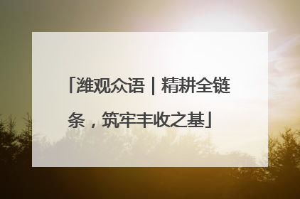 潍观众语｜精耕全链条，筑牢丰收之基