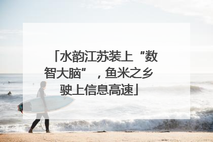 水韵江苏装上“数智大脑”，鱼米之乡驶上信息高速