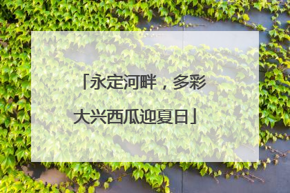 永定河畔，多彩大兴西瓜迎夏日