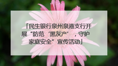民生银行泉州泉港支行开展“防范‘黑灰产’，守护家庭安全”宣传活动