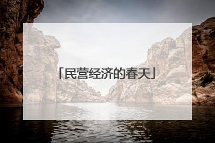 民营经济的春天