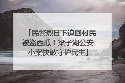民警烈日下追回村民被盗西瓜！梁子湖公安小案快破守护民生