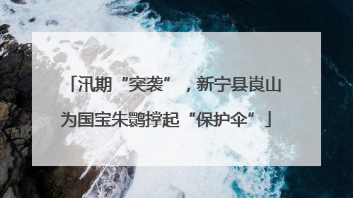 汛期“突袭”，新宁县崀山为国宝朱鹮撑起“保护伞”
