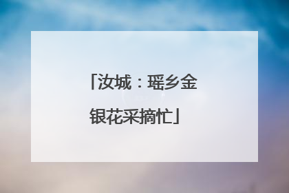 汝城：瑶乡金银花采摘忙