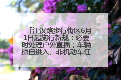 江汉路步行街区6月1日起施行新规：必要时处理户外直播；车辆擅自进入、非机动车任意停放的，依法处理