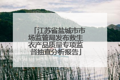 江苏省盐城市市场监管局发布救生衣产品质量专项监督抽查分析报告