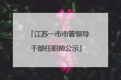 江苏一市市管领导干部任职前公示
