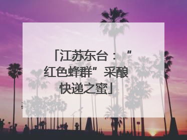 江苏东台：“红色蜂群”采酿快递之蜜