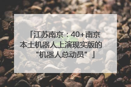 江苏南京：40+南京本土机器人上演现实版的“机器人总动员”