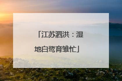 江苏泗洪：湿地白鹭育雏忙