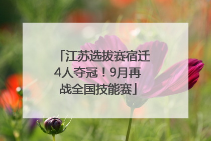 江苏选拔赛宿迁4人夺冠！9月再战全国技能赛