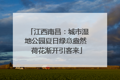 江西南昌：城市湿地公园夏日绿意盎然 荷花渐开引客来