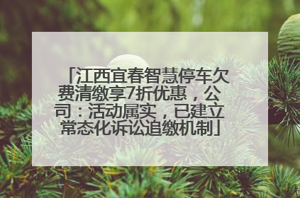 江西宜春智慧停车欠费清缴享7折优惠，公司：活动属实，已建立常态化诉讼追缴机制