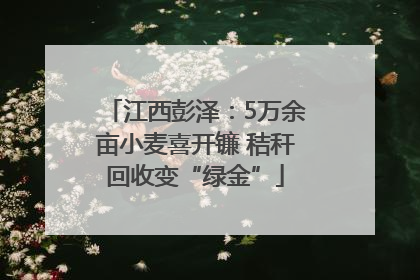 江西彭泽：5万余亩小麦喜开镰 秸秆回收变“绿金”