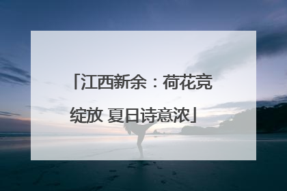 江西新余：荷花竞绽放 夏日诗意浓