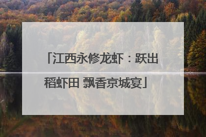 江西永修龙虾：跃出稻虾田 飘香京城宴