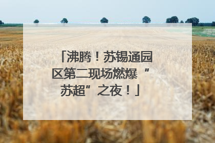 沸腾！苏锡通园区第二现场燃爆“苏超”之夜！