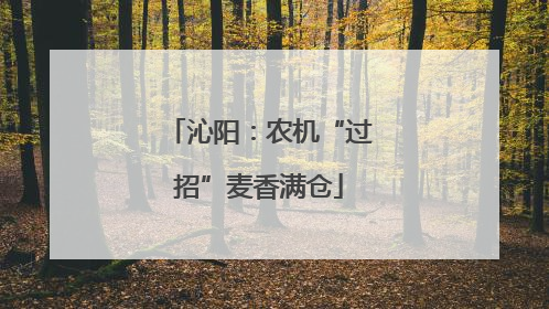 沁阳：农机“过招”麦香满仓