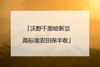 沃野千里绘新景 高标准农田保丰收