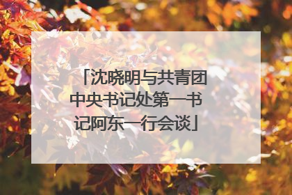 沈晓明与共青团中央书记处第一书记阿东一行会谈