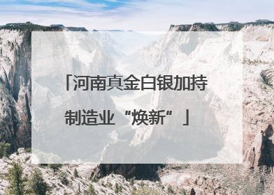河南真金白银加持制造业“焕新”