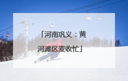 河南巩义：黄河滩区麦收忙