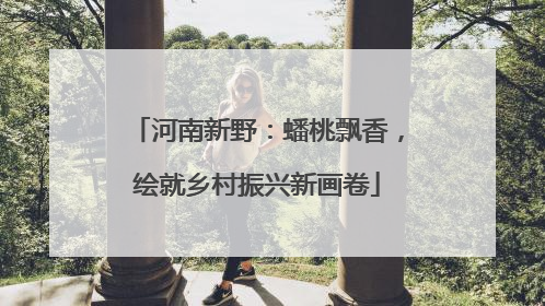 河南新野：蟠桃飘香，绘就乡村振兴新画卷