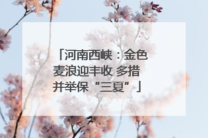 河南西峡：金色麦浪迎丰收 多措并举保“三夏”