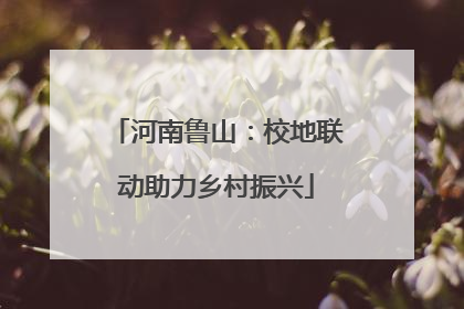 河南鲁山：校地联动助力乡村振兴