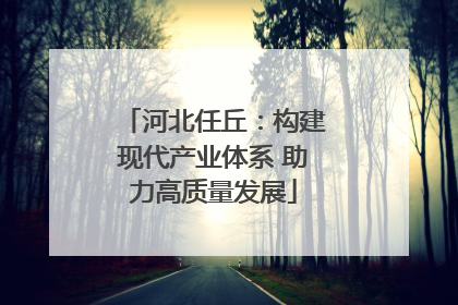 河北任丘：构建现代产业体系 助力高质量发展