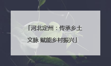河北定州：传承乡土文脉 赋能乡村振兴