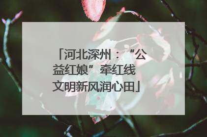 河北深州：“公益红娘”牵红线 文明新风润心田
