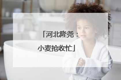 河北隆尧：小麦抢收忙