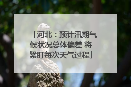 河北：预计汛期气候状况总体偏差 将紧盯每次天气过程