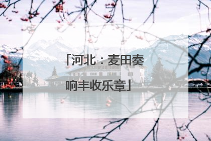 河北：麦田奏响丰收乐章