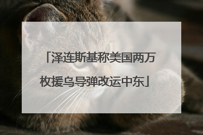 泽连斯基称美国两万枚援乌导弹改运中东