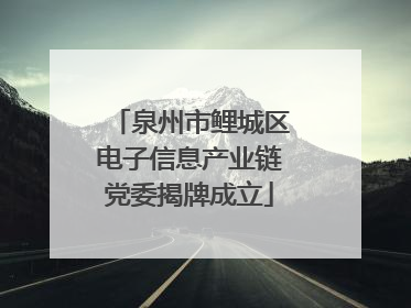 泉州市鲤城区电子信息产业链党委揭牌成立