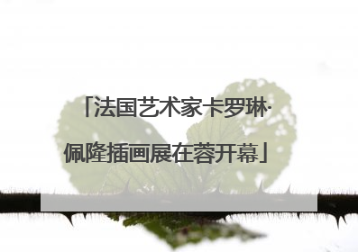 法国艺术家卡罗琳·佩隆插画展在蓉开幕