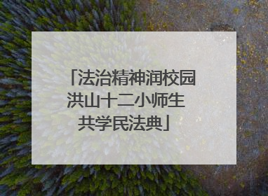 法治精神润校园 洪山十二小师生共学民法典