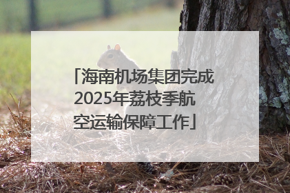 海南机场集团完成2025年荔枝季航空运输保障工作